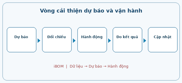 Vòng cải thiện dự báo và vận hành